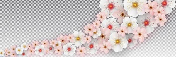 White and pink spring flowers on an isolated transparent background. Template for banner, poster, presentation. Vector illustration