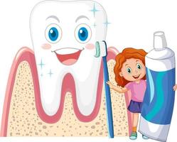 A little girl holding toothpaste and toothbrush with big tooth on white background vector