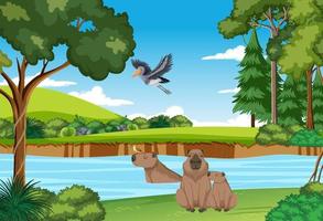 Scene with wild animals in the forest vector