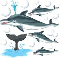 delfines con burbujas sobre fondo blanco vector