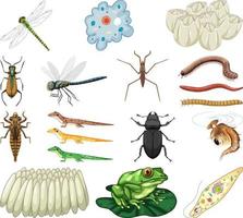 Different kinds of insects and animals on white background vector