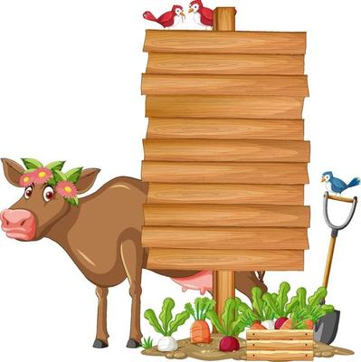 Cow with wooden sign banner