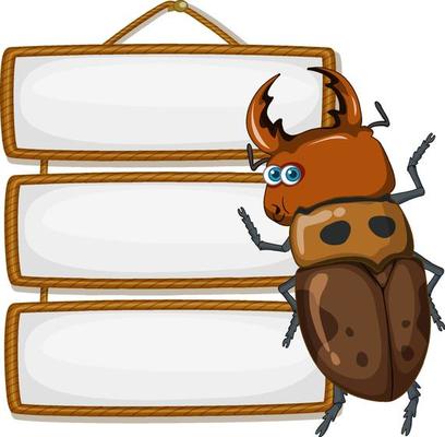 Isolated wooden banner with beetle