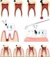 conjunto de todo tipo de dientes sobre fondo blanco vector