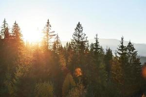 the mountain autumn landscape with colorful forest photo