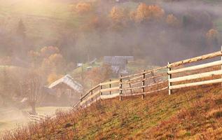 Majestic landscape with autumn trees in misty forest. Carpathian, Ukraine, Europe. Beauty world photo