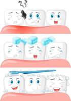 Set of all types of teeth on white background vector