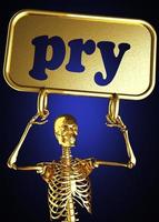 pry word and golden skeleton photo