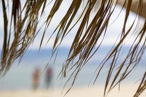 playa exótica en la playa con sombrilla. una sombrilla de playa solitaria y vacía hecha de juncos. hermosas ramas secas de palmeras en el techo con el telón de fondo de la playa. foto