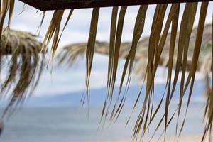 exotic beach on the beach with parasol. A lonely empty beach umbrella made of reeds. Beautiful dry branches of palm trees on the roof against the backdrop of the beach. photo