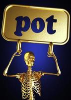 pot word and golden skeleton photo