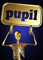 pupil word and golden skeleton photo