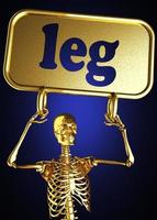 leg word and golden skeleton photo