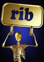 rib word and golden skeleton photo
