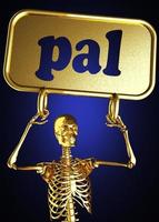 pal word and golden skeleton photo