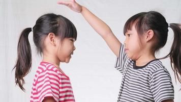 Cute little girl measuring height between herself and her friend with hands on white background in studio. Children measure growth video