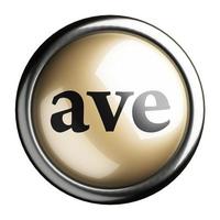 ave word on isolated button photo