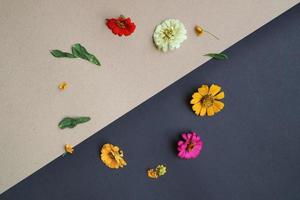 Beautiful flower flat lay arrangement on black and brown background. Flat lay bouquet, top view, overhead, empty space for copied text. photo