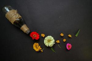 Colorful zinnia flower in flat lay arrangement on black background isolated. Flat lay, top view, empty space for copied text. photo