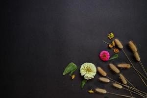 Colorful zinnia flower in flat lay arrangement on black background isolated. Flat lay, top view, empty space for copied text. photo