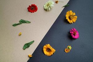 Beautiful flower flat lay arrangement on black and brown background. Flat lay bouquet, top view, overhead, empty space for copied text. photo