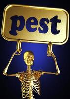 pest word and golden skeleton photo