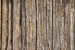Wood abstract texture. Surface grunge backdrop. Dirty wooden effect pattern. Material background. photo