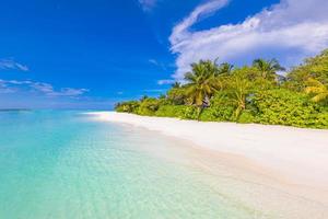 Maldives island beach. Tropical landscape of summer scenic, white sand with palm trees. Luxury travel vacation destination. Exotic beach landscape. Amazing nature, relax, freedom nature template photo