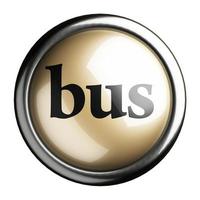 bus word on isolated button photo