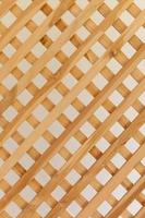 bamboo texture for background