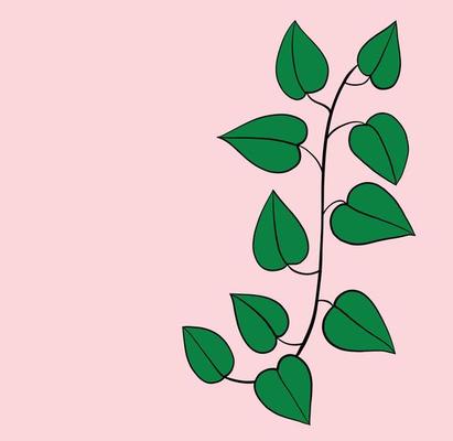 Simplicity ivy freehand drawing flat design.