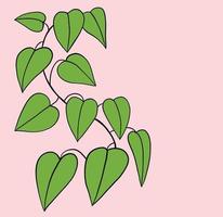 Simplicity ivy freehand drawing flat design. vector