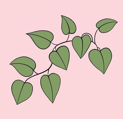 Simplicity ivy freehand drawing flat design.