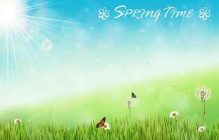 Spring background with butterflies and dragonfly in meadow vector