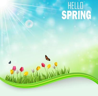 Springtime meadow background with tulip flowers and butterflies.Vector