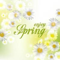 Spring Beautiful background with flowers daisies.Vector vector