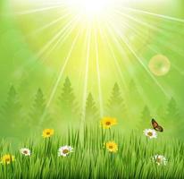 Spring background with flowers and butterflies in meadow and pine trees vector
