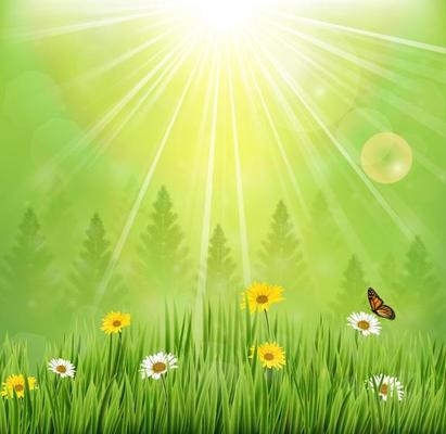 Spring background with flowers and butterflies in meadow and pine trees