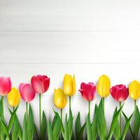 Colorful tulips on white wooden table.Vector vector