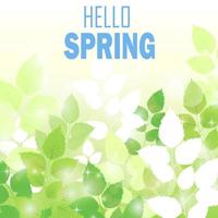 Spring background with fresh green leaves vector