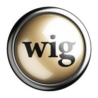 wig word on isolated button photo