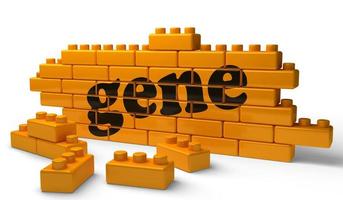 gene word on yellow brick wall photo