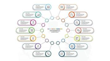 Basic circle infographic template with 14 steps. vector
