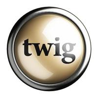 twig word on isolated button photo