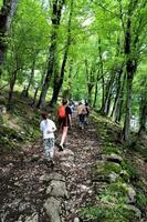 New Athos, Abkhazia. June 02, 2021. Group of tourists coming up on mountain road to Anakopia ancient fort. photo