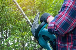 Gardener holding electric hedge trimmer to cut the treetop in garden. photo