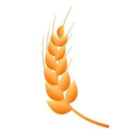 plant wheat cartoon vector illustration isolated object