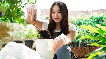 Asian woman Prepare a place for planting with pot photo