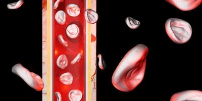 skin layer red blood cells vein vascular surgery 3d illustration