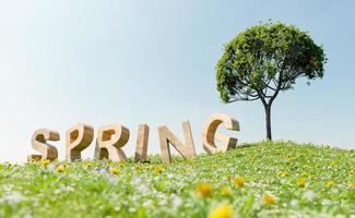 cartel de madera con la palabra primavera en un prado foto